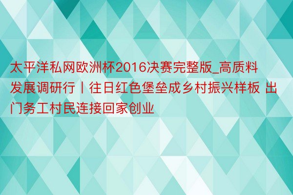 太平洋私网欧洲杯2016决赛完整版_高质料发展调研行丨往日红色堡垒成乡村振兴样板 出门务工村民连接回家创业