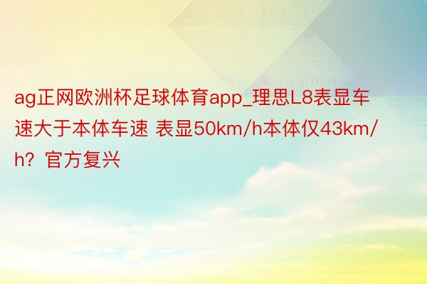 ag正网欧洲杯足球体育app_理思L8表显车速大于本体车速 表显50km/h本体仅43km/h？官方复兴