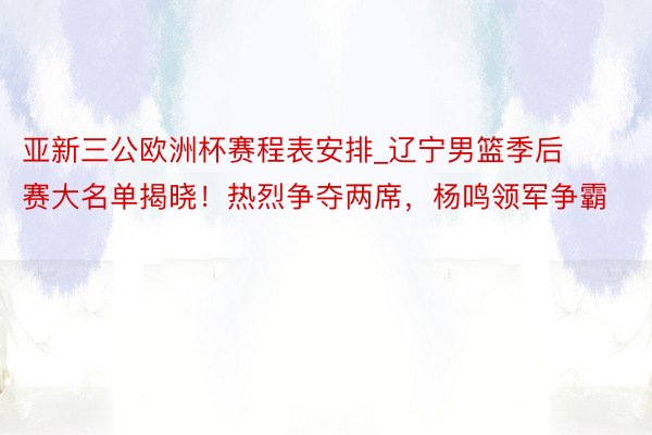 亚新三公欧洲杯赛程表安排_辽宁男篮季后赛大名单揭晓！热烈争夺两席，杨鸣领军争霸