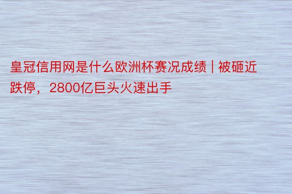 皇冠信用网是什么欧洲杯赛况成绩 | 被砸近跌停，2800亿巨头火速出手