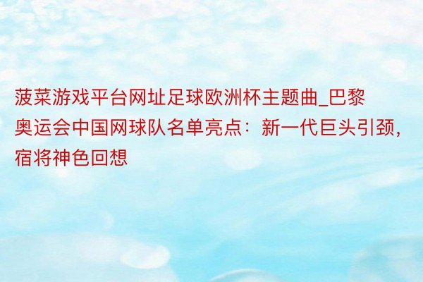 菠菜游戏平台网址足球欧洲杯主题曲_巴黎奥运会中国网球队名单亮点：新一代巨头引颈，宿将神色回想